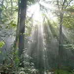 Kluge Markische Heide
