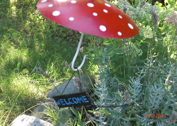 Kluge * Markische Heide