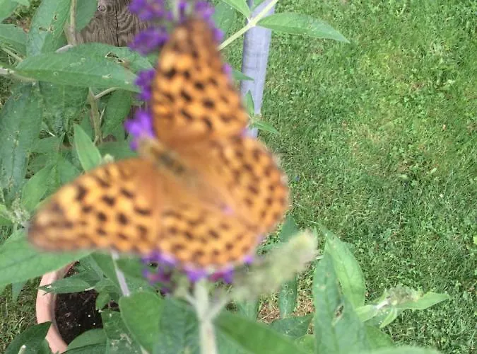 Kluge Apartamento Markische Heide